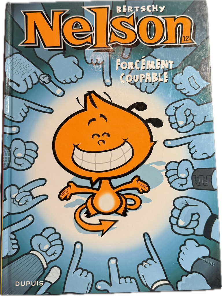 Nelson 12 Forcement Coupable by Bertschy Hardcover | Indigo Chapters